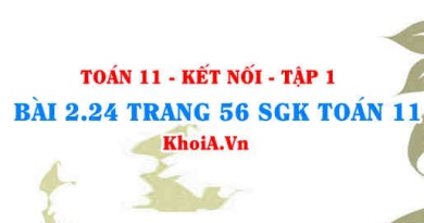 Bài 2.24 trang 56 SGK Toán 11 tập 1 Kết nối tri thức
